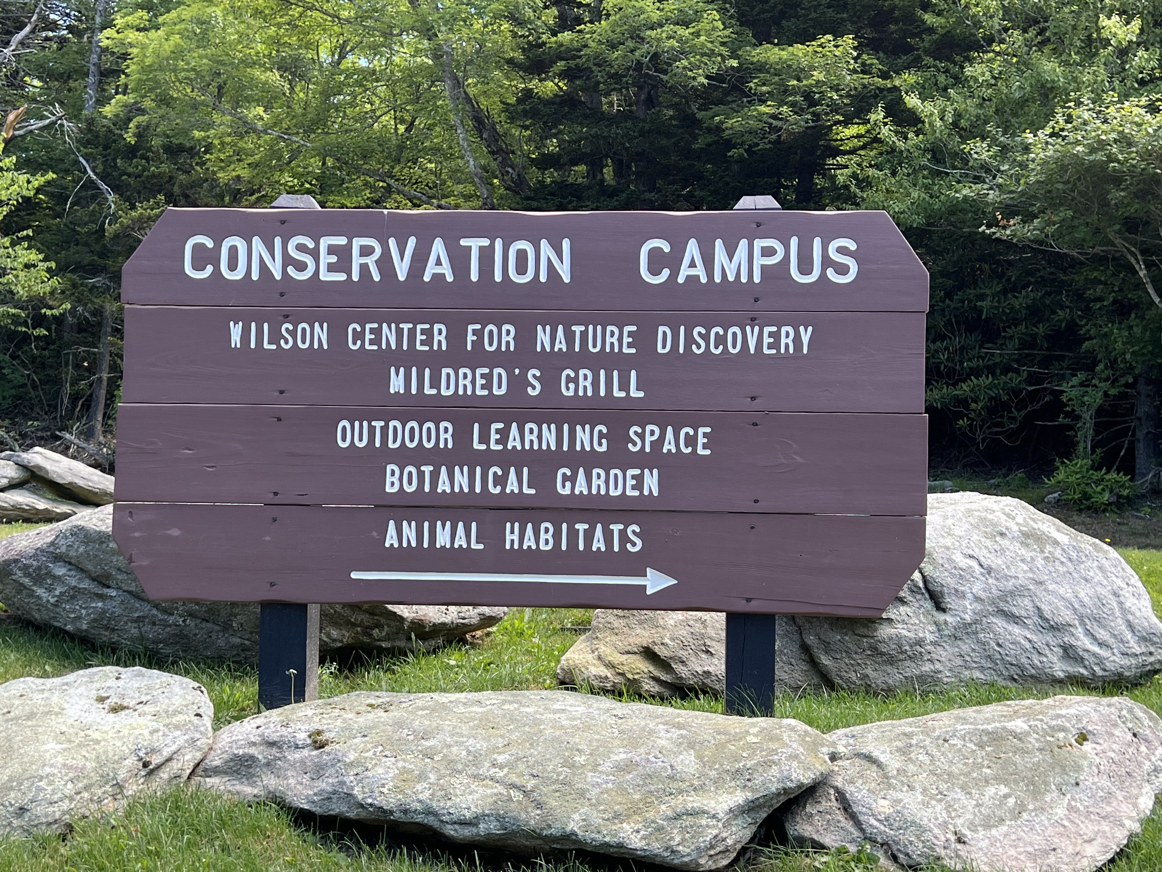 ./2024/08 - Banner Elk/Grandfather Mountain/IMG_1933.jpg